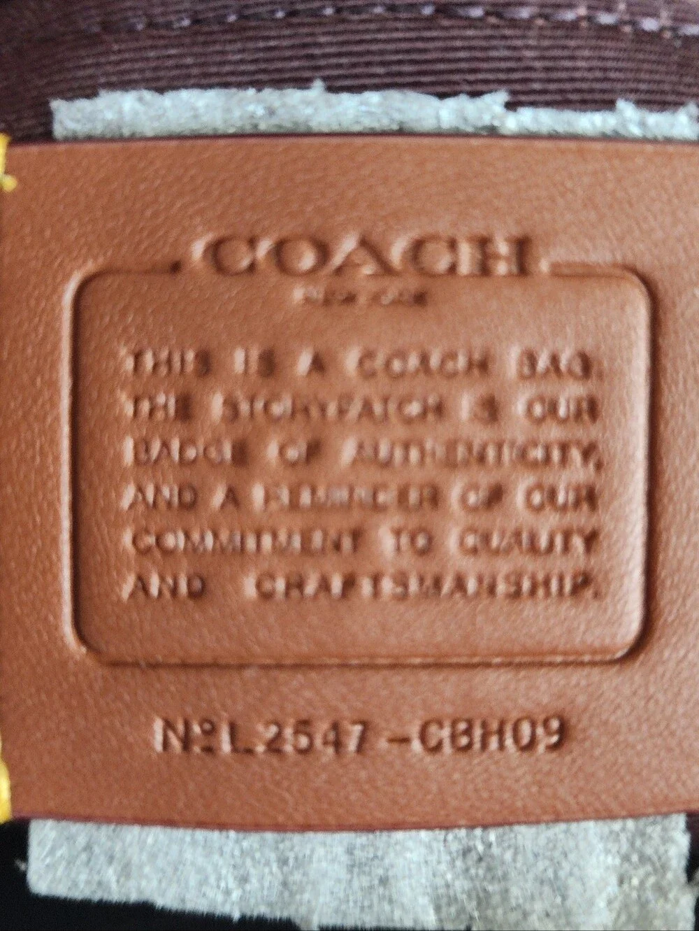 Coach Hadley Black Pebbled Leather Mini Backpack with Gold-Tone Hardware